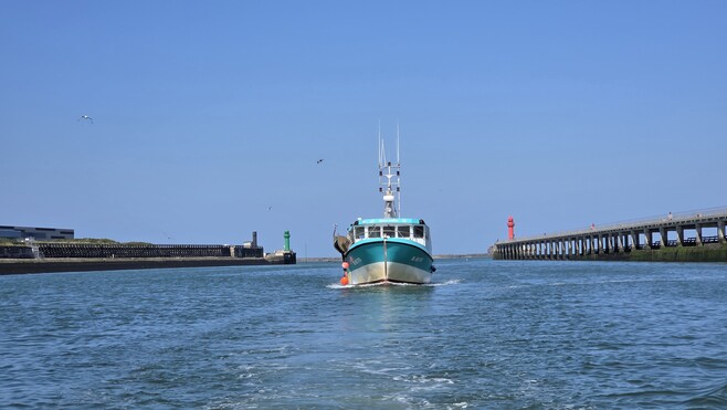 Malgré une baisse de 2% des volumes débarqués, Boulogne reste le premier port de pêche de France