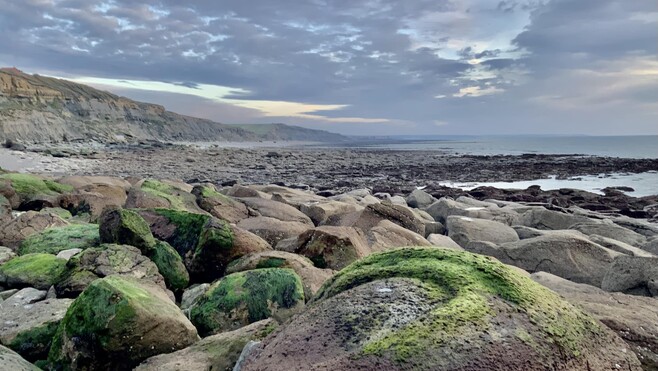 Audinghen : une femme blessée après une chute sur les rochers au Cap Gris-Nez