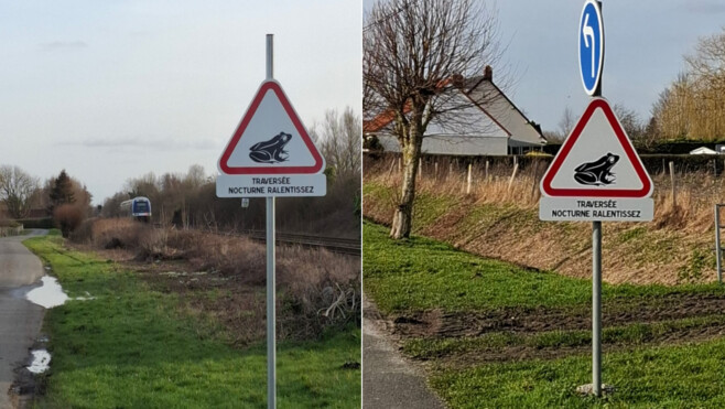RUE : de nouveau panneaux pour protéger les amphibiens autour du Marais de Larronville