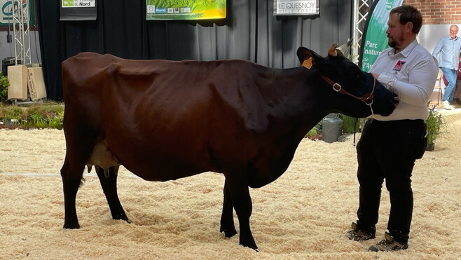 Au Salon international de l'Agriculture, pas de vaches mais... 