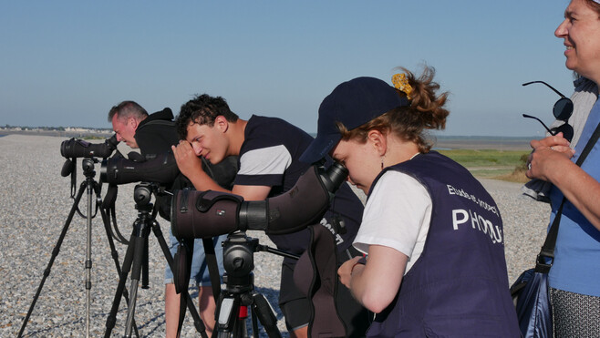Baie de Somme : 70 bénévoles mobilisés tout l’été pour protéger les phoques