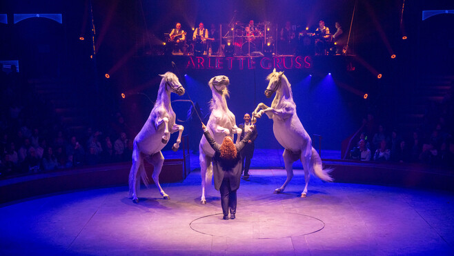 Boulogne: jusqu'à dimanche, le cirque Arlette Gruss promet 
