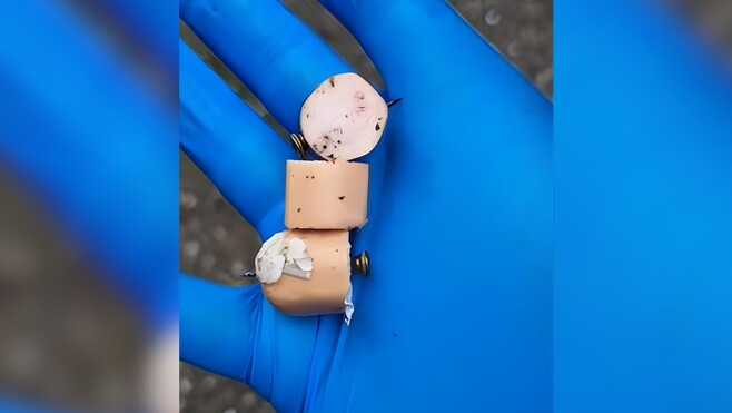 Attention à vos animaux: des saucisses piégées avec des clous retrouvées à Boulogne