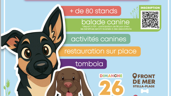 Dog Run à Stella-Plage : ce rendez-vous canin géant va attirer des centaines de passionnés sur le front de mer