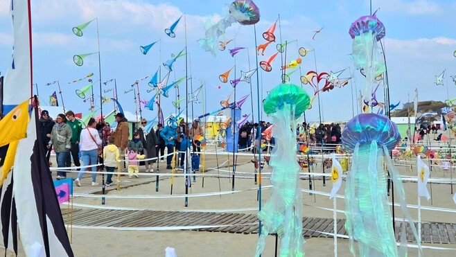 Berck-sur-Mer : les jardins du vent, l’autre spectacle magique des Rencontres de cerfs-volants