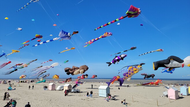 Berck mis à l'honneur ce dimanche dans l'émission 