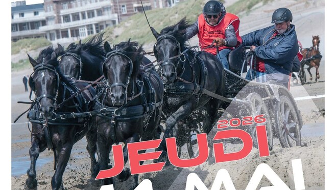 Berck-sur-Mer : le spectaculaire marathon d’attelage fait son grand retour sur la plage ce jeudi