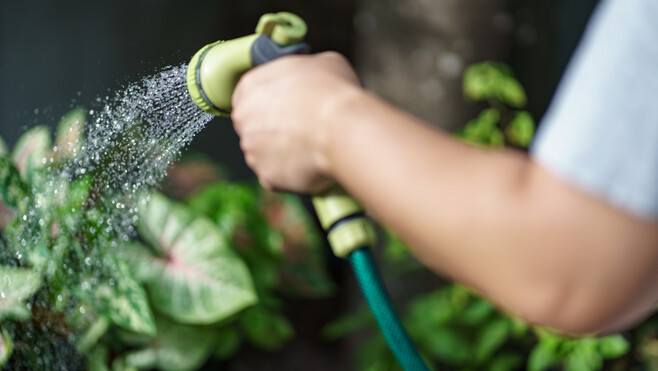 Sécheresse dans la Somme : plusieurs secteurs placés en vigilance pour économiser l’eau