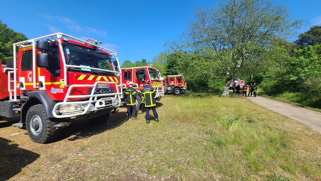Neufchâtel-Hardelot : un feu se déclare dans une forêt, au moins un hectare touché