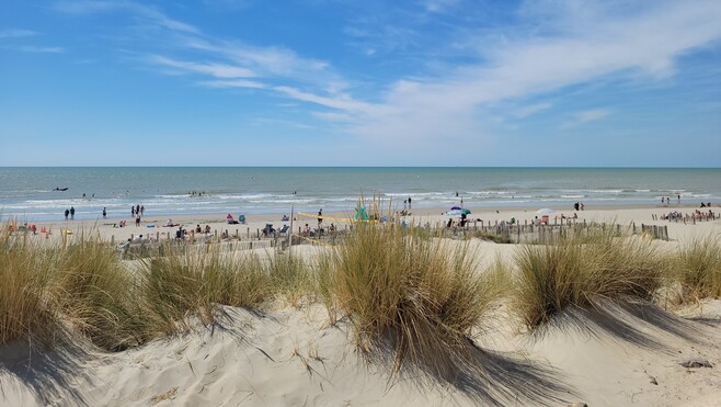 Cap sur l'été à Camiers-Sainte-Cécile !