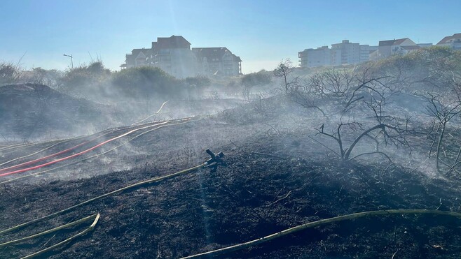 Neufchâtel-Hardelot : un spectaculaire incendie ravage les dunes, 55 pompiers mobilisés