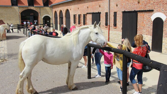 Samer : une après-midi d'animations à la Maison du Cheval Boulonnais