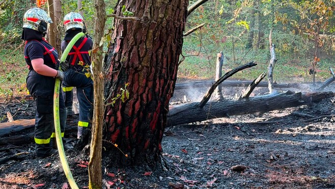 Un départ de feu en forêt du Touquet rapidement maîtrisé, une enquête est ouverte