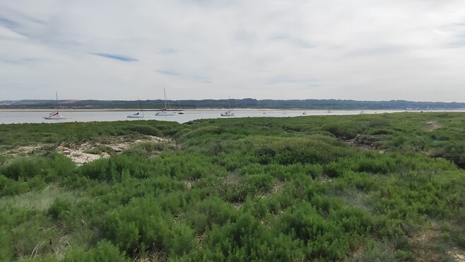 Les Escapades Radio 6 vous emmènent goûter l'estuaire de la Canche au Touquet