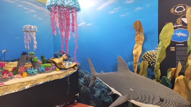 Le Crotoy : une exposition inédite et spectaculaire en briques Lego rend hommage à Jules Verne !