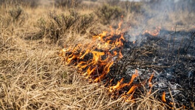 Matringhem : un nouvel énorme feu de champ détruit 10 hectares