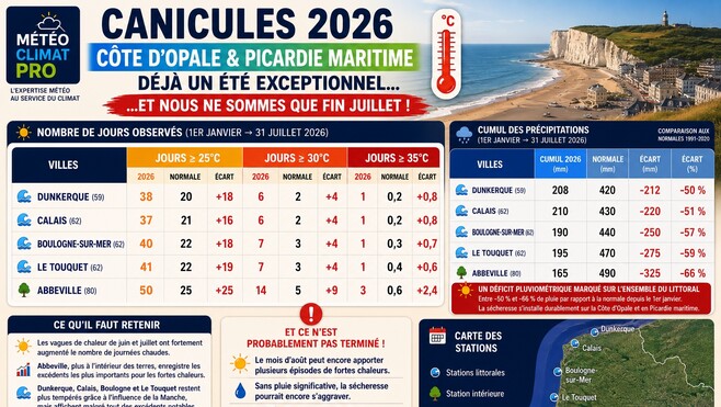 Canicule et sécheresse : à Calais, pas une goutte d'eau ou presque depuis le 27 juin !
