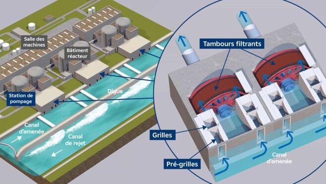 Gravelines : les méduses provoquent à nouveau l’arrêt de 3 réacteurs de la centrale nucléaire !