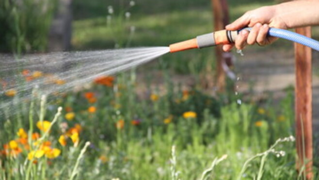 Sécheresse dans la Somme : les restrictions d’eau se durcissent, voici ce qui est désormais interdit