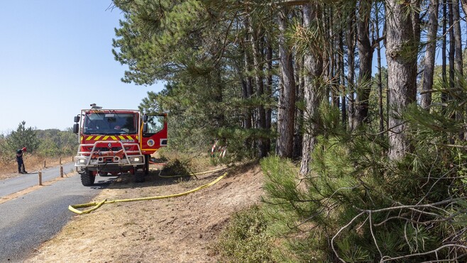 Feux de forêt à Hardelot et Dannes : les incendies sont fixés, 190 hectares parcourus par les flammes