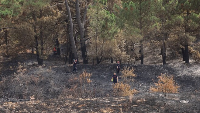 Incendies au Mont Saint-Frieux : les feux officiellement éteints après dix jours de mobilisation !
