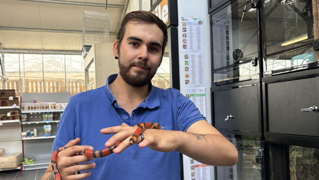Aux Serres du Manoir de Rang-du-Fliers, il est désormais possible d’acheter des reptiles !