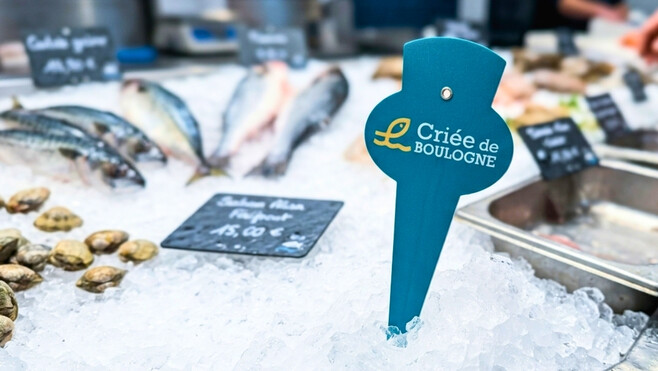 Boulogne-sur-mer : un nouveau label pour donner plus de valeur aux poissons de la criée