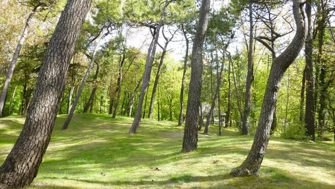 Le Touquet décroche une certification internationale pour son engagement environnemental !