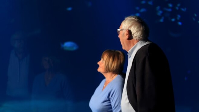 Boulogne-sur-mer : Nausicaá propose un programme spécial pour les plus de 60 ans à l'occasion de la semaine bleue en octobre !