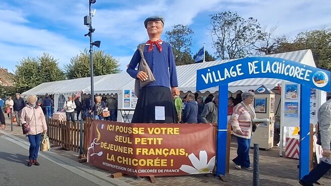 La Fête de la Chicorée fait battre le coeur de la région d'Audruicq.