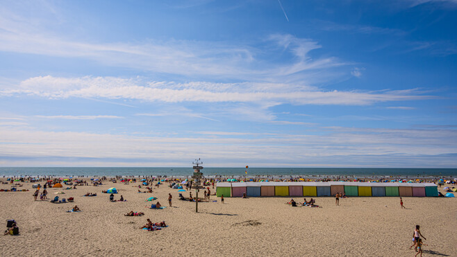 Berck-sur-mer joue sa place en finale de la « Plage préférée des Français » !