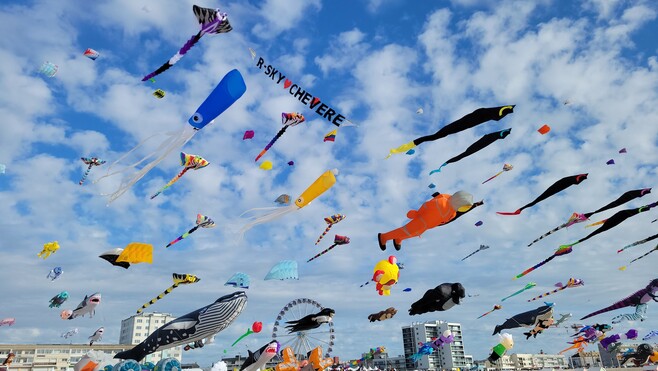 “Berck reste la plus belle plage dans notre cœur” : réactions après le classement en deuxième place du concours de la plage préférée des Français 