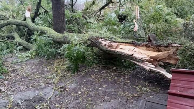 Tempête dans la Somme : un retour progressif à la normale ce samedi soir