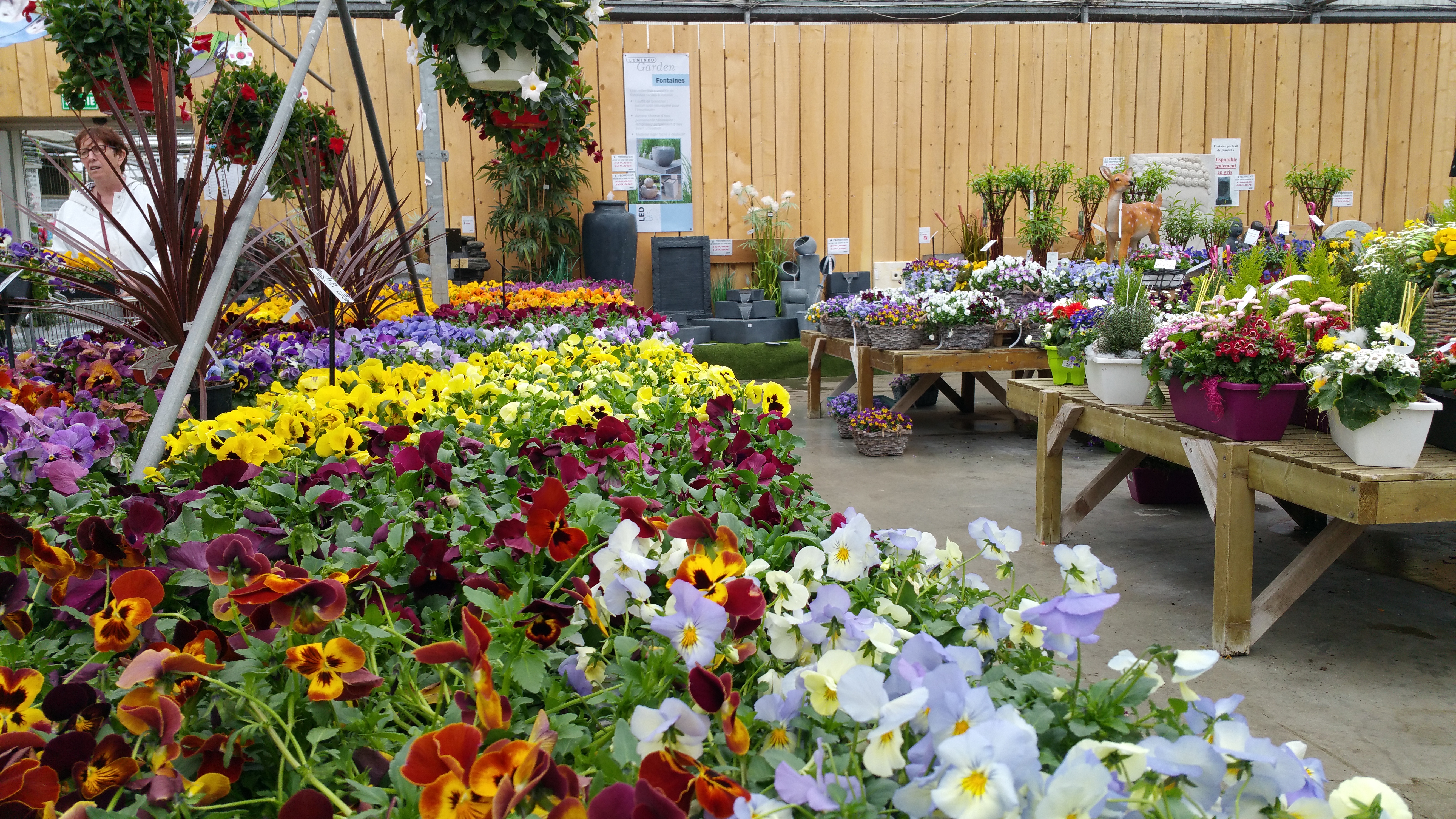 Avec le printemps et les vacances de Pâques la jardinerie d'Hesdigneul n'a pas désempli ! 