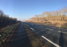 Camiers: pourquoi cette vaste opération d'abattage dans la réserve naturelle?