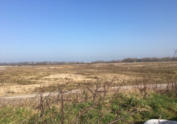Un pôle équestre sur l'ancienne jungle de Calais ?