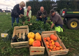 Ardres : récolte du potager citoyen au profit des Restos du Cœur