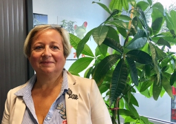 Installation de nouvelles entreprises à Calais.