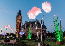 Arbre à papillon, bouquets d’Abat-jours et de pivoines fleurissent à Calais