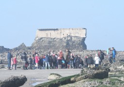 Le fort de l'Heurt à Le Portel est une moulière naturelle !