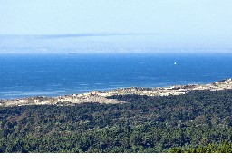 Balades dans les Dunes du Mont Saint Frieux (galerie photos)