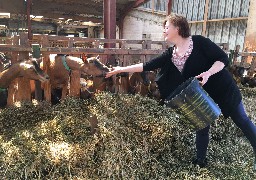 Le Chèvremarie, une chèvrerie où l’on fabrique de délicieux fromages