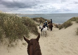 Balade à cheval en Baie d'Authie 