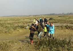 Des balades découvertes en Baie d'Authie 