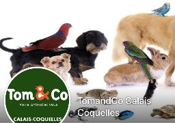 TOM & CO arrive à Coquelles