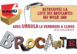 L'AGENDA DES BROCANTES DES 13 et 14 AVRIL