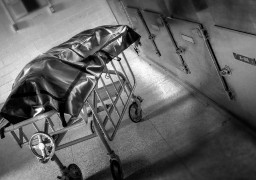 Une personne retrouvée morte lundi soir sur l'A16 dans le calaisis 