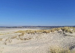 Le Touquet lance une campagne de communication pour rassurer et attirer les visiteurs