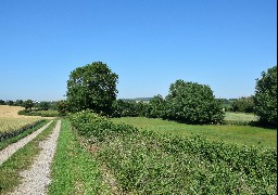 Amis vététistes, cap sur Marquise 