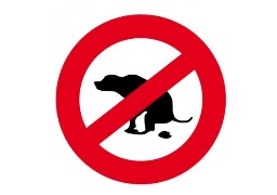 Le Touquet part en guerre contre les déjections canines ! 